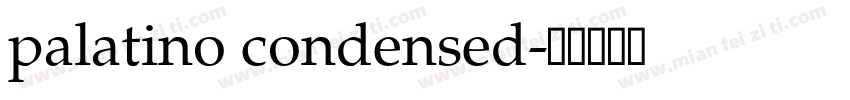 palatino condensed字体转换